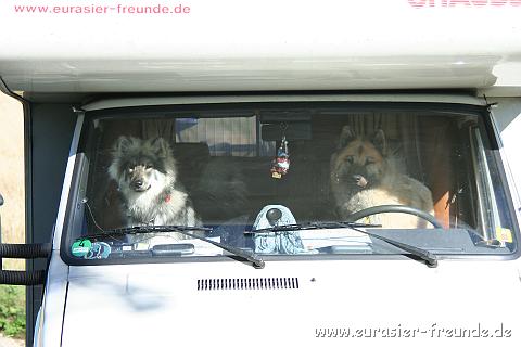 (Foto Goslar)_daenemark_2010_IMG_0628.jpg - Das sind wir! Neele und Sahri. Unsere Reise fhrte uns in diesem Sommer nach Dnemark, ...
